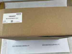moritex茉丽特  MLEP-B070W2LR-100W 光源控制器 